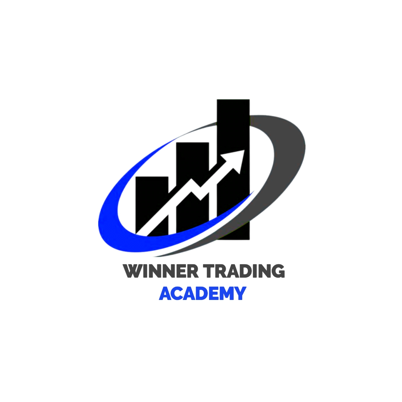 Logo professionnel 1